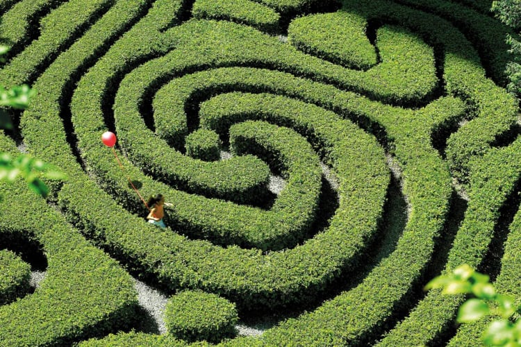 Garden Maze